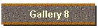 Gallery 8